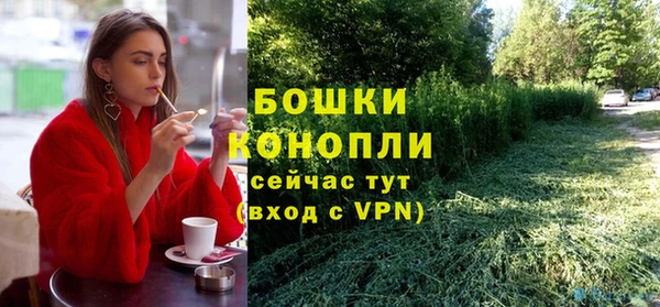 spice Богородицк