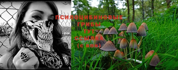 прущие крисы Богородск