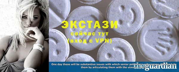 spice Богородицк