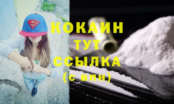 spice Богородицк