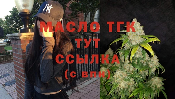 spice Богородицк