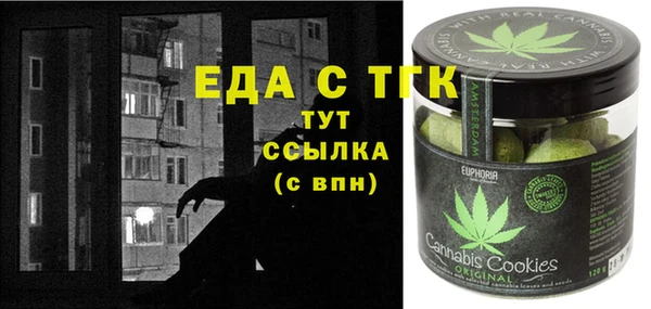 spice Богородицк