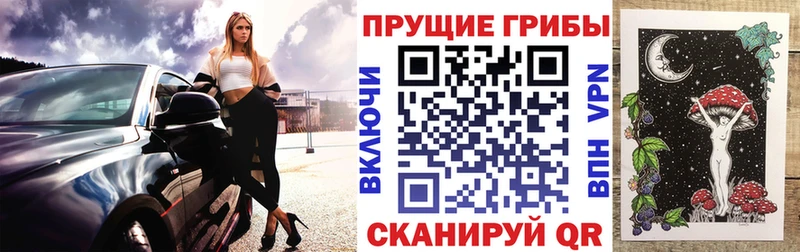 Купить  Бугуруслан  Псилоцибиновые грибы Psilocybine cubensis 
